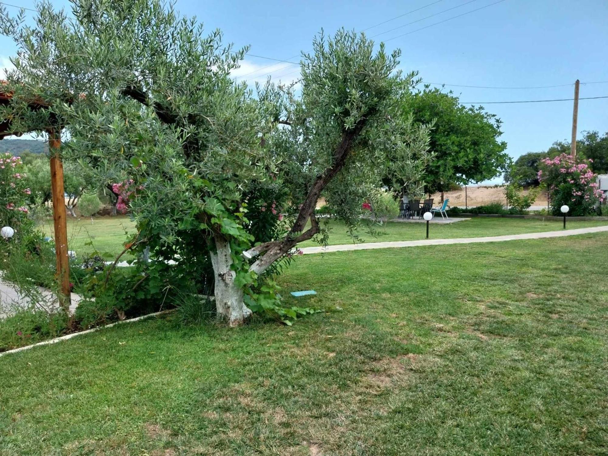 Bill & Eva'S Precious Jewel Villa Pyrgadikia Exterior photo